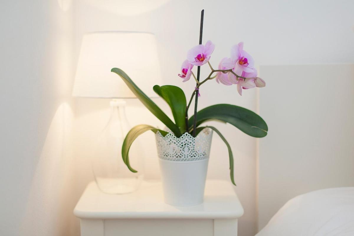 Apartamento Santana With Balcony Lisboa